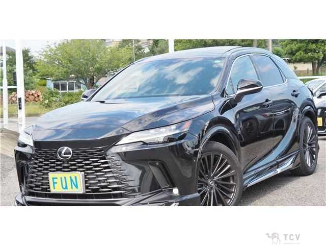 2024 Lexus RX