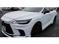 2024 Lexus RX