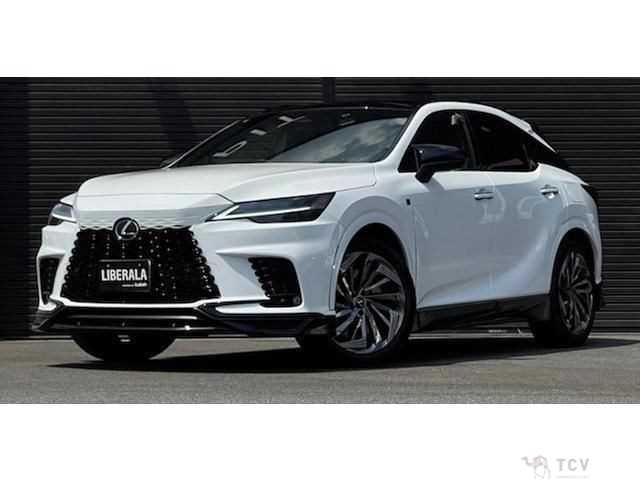 2024 Lexus RX
