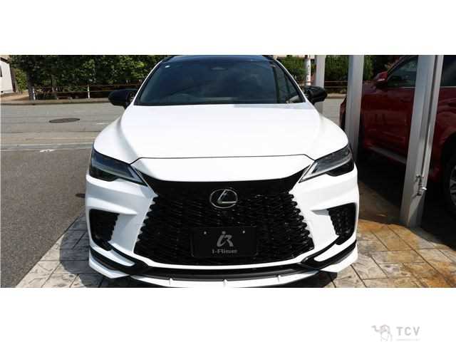 2024 Lexus RX