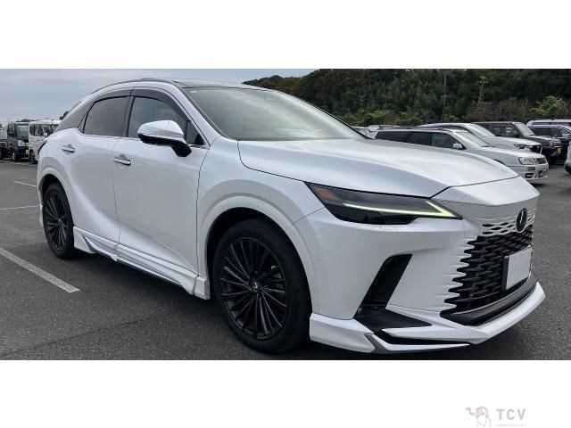 2023 Lexus RX
