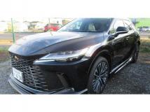 2023 Lexus RX