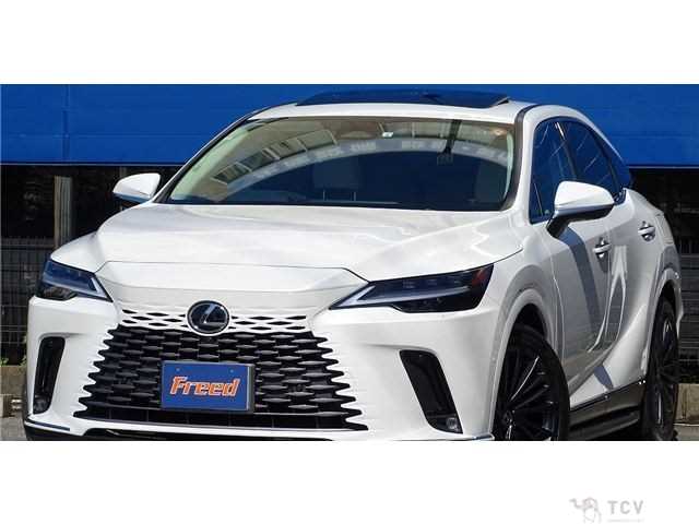 2023 Lexus RX