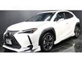 2025 Lexus Other