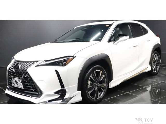 2025 Lexus Other