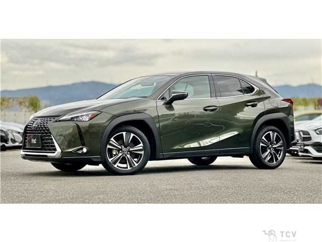 2024 Lexus Other