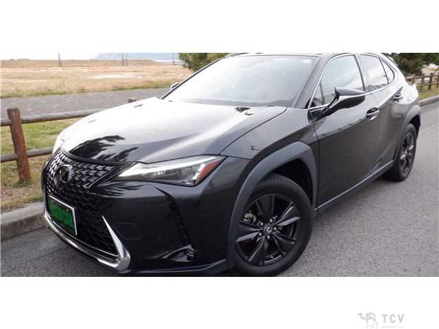 2023 Lexus Other