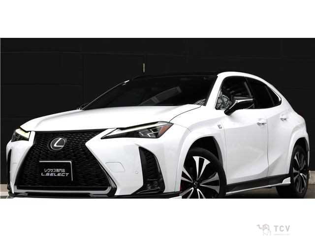 2023 Lexus Other