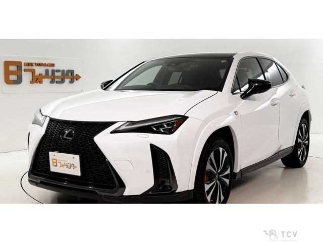 2023 Lexus Other