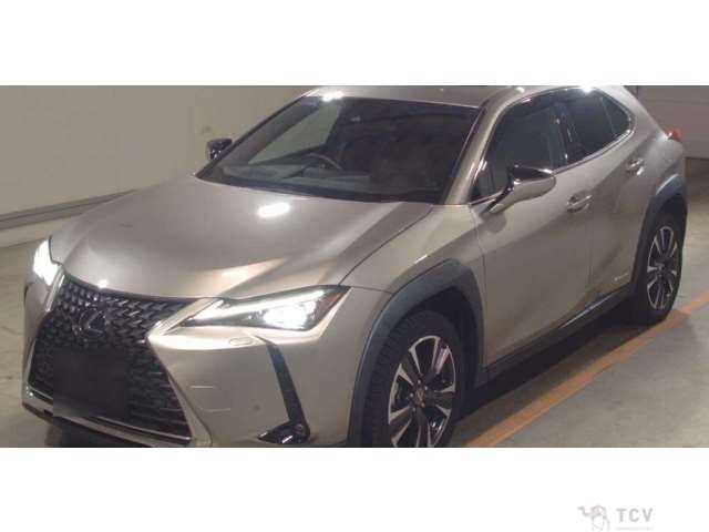 2022 Lexus Other