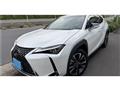 2022 Lexus Other