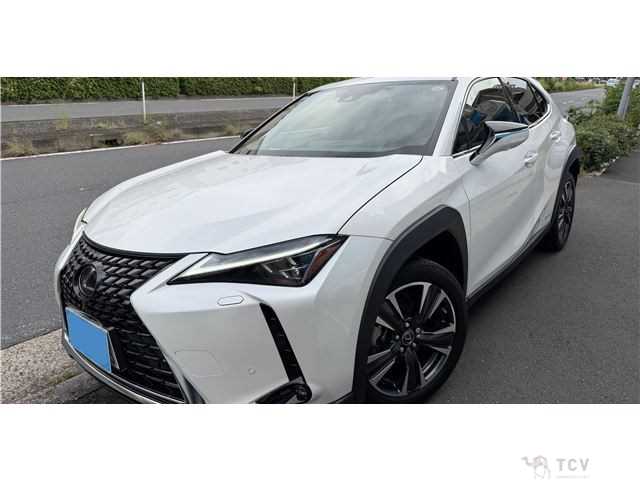 2022 Lexus Other