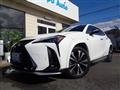 2022 Lexus Other