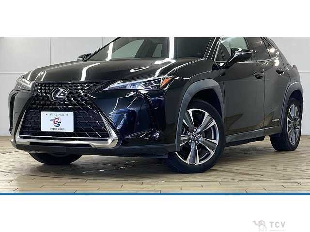 2021 Lexus Other