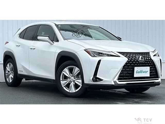 2021 Lexus Other