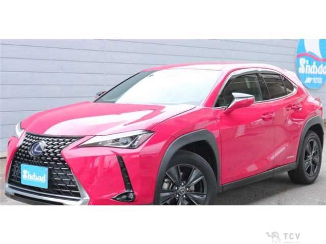 2021 Lexus Other