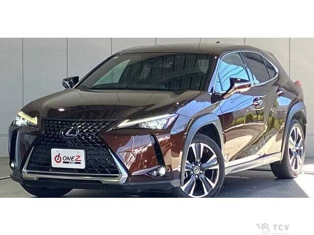 2021 Lexus Other