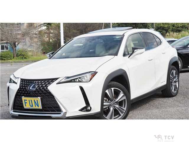2021 Lexus Other