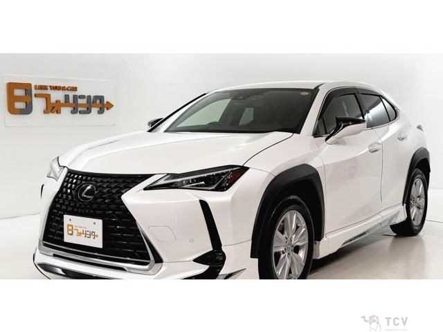 2021 Lexus Other