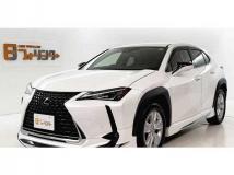 2021 Lexus Other