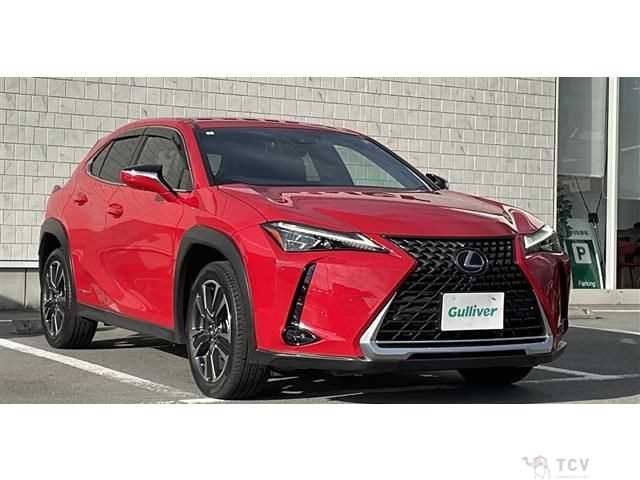 2021 Lexus Other