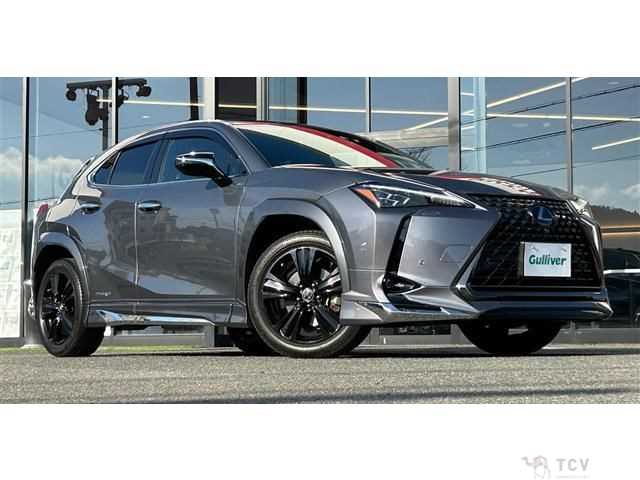 2021 Lexus Other