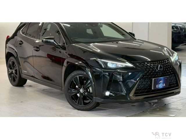 2021 Lexus Other