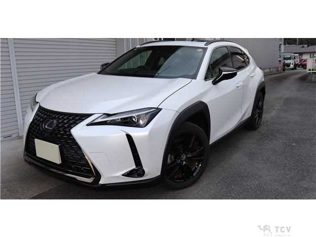 2021 Lexus Other