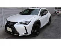 2021 Lexus Other