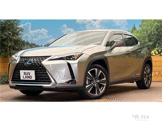 2021 Lexus Other