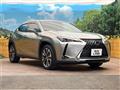 2021 Lexus Other