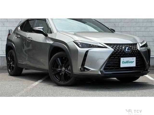 2021 Lexus Other