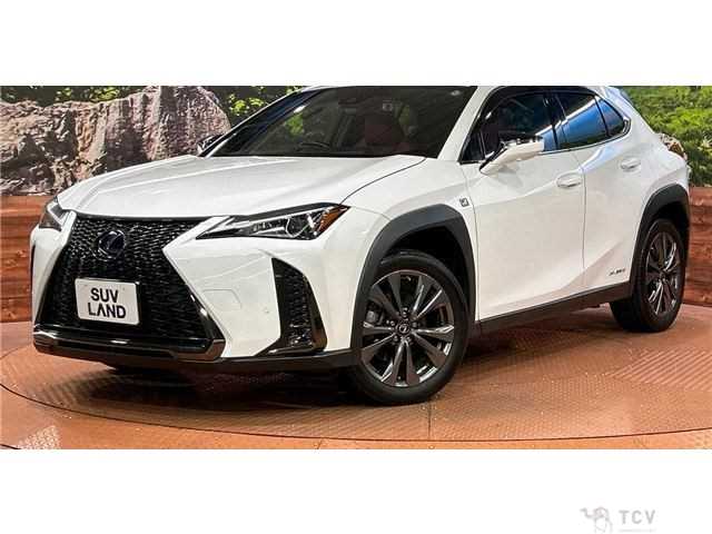 2021 Lexus Other
