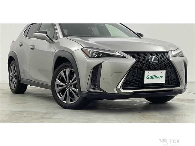2021 Lexus Other