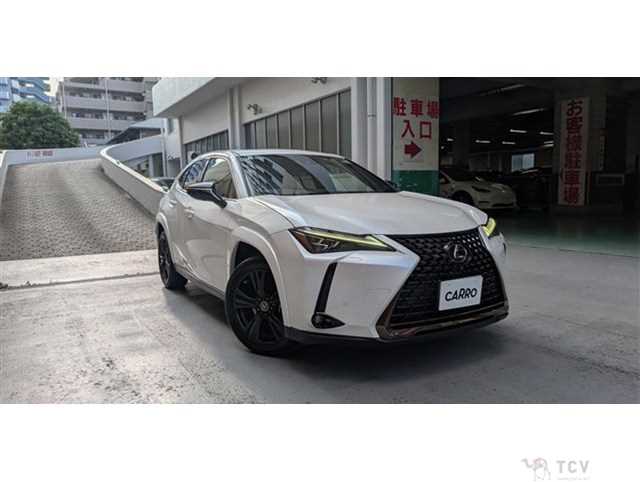 2021 Lexus Other