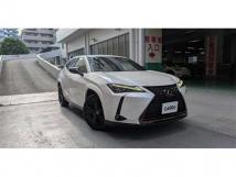 2021 Lexus Other