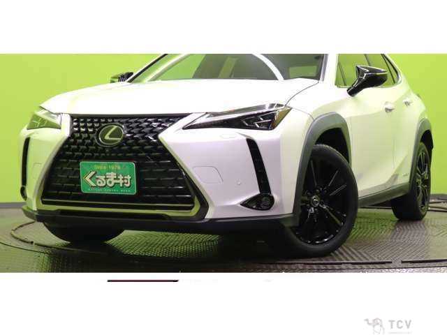 2021 Lexus Other