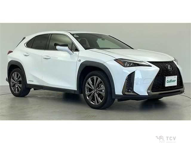 2021 Lexus Other