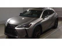 2020 Lexus Other