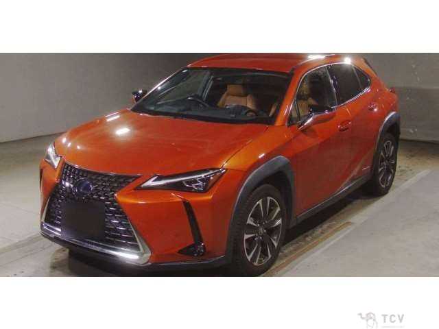 2020 Lexus Other