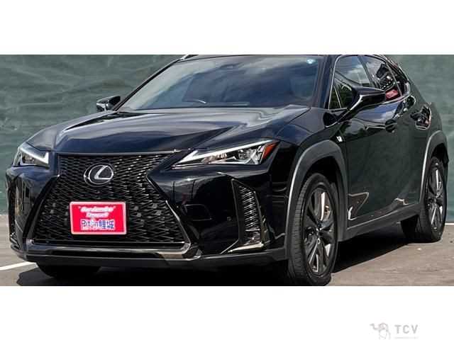 2021 Lexus Other