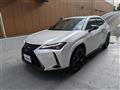 2021 Lexus Other