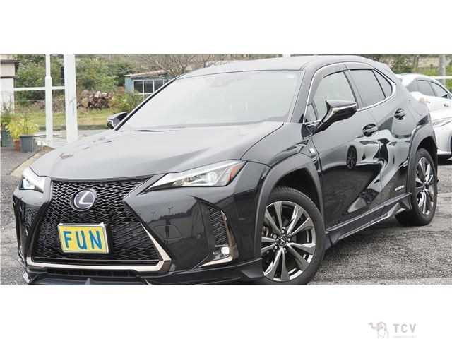 2021 Lexus Other