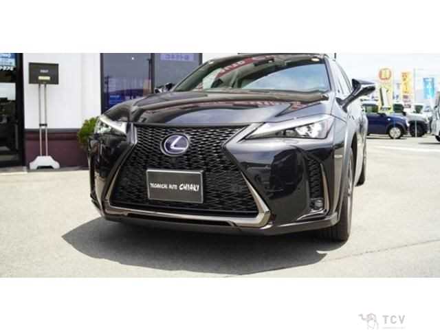 2021 Lexus Other