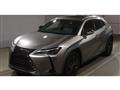 2020 Lexus Other