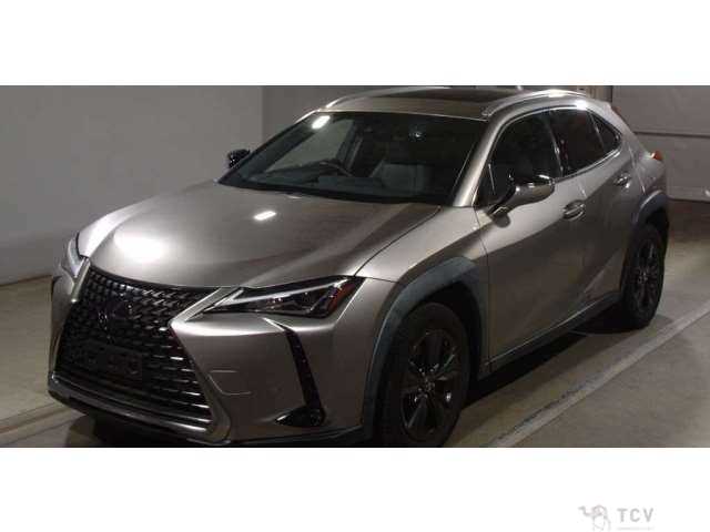 2020 Lexus Other