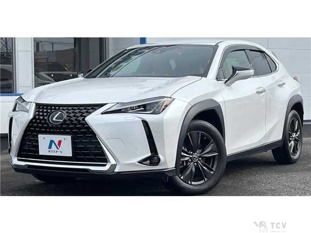 2020 Lexus Other