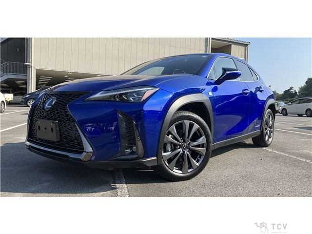 2020 Lexus Other