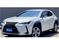 2020 Lexus Other