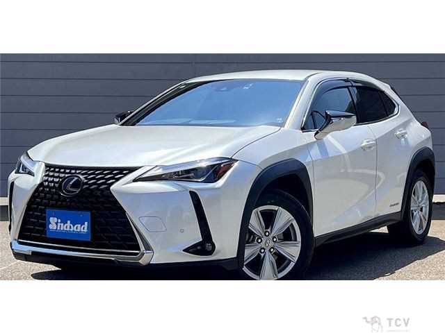 2020 Lexus Other